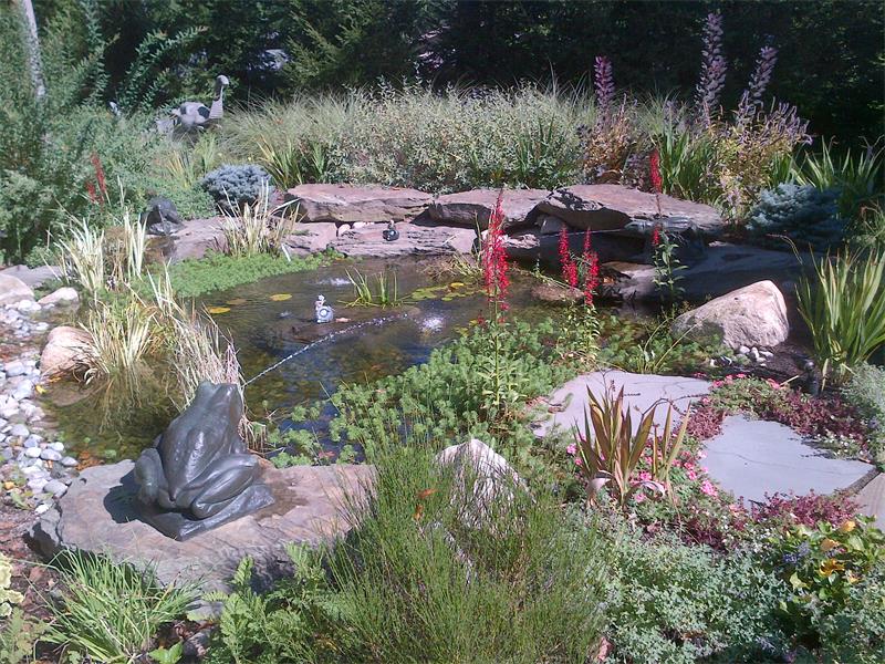 Planting Enhancements, Water Feature 